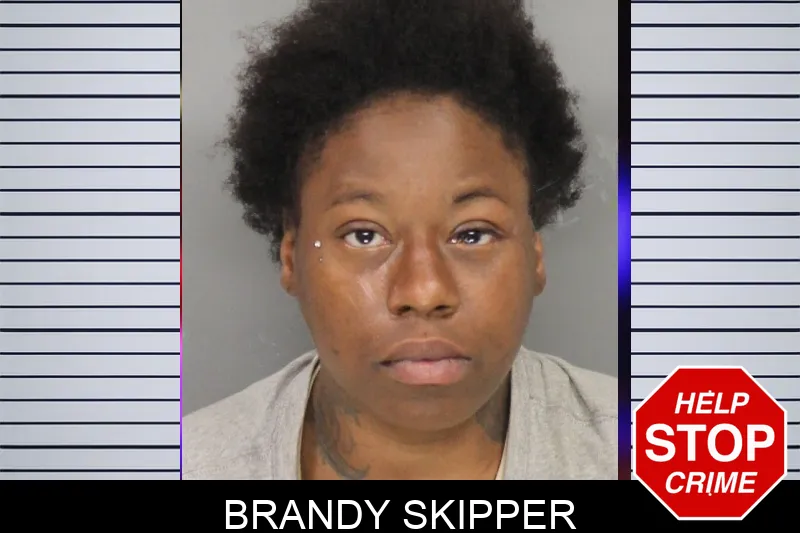 Brandy Skipper Mugshots