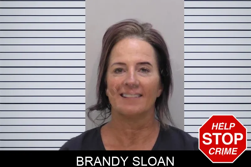 Brandy Sloan mugshot – Bartow County , Georgia Brandy Sloan mugshot