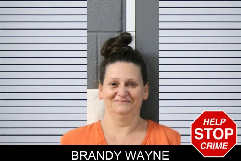 Brandy Wayne