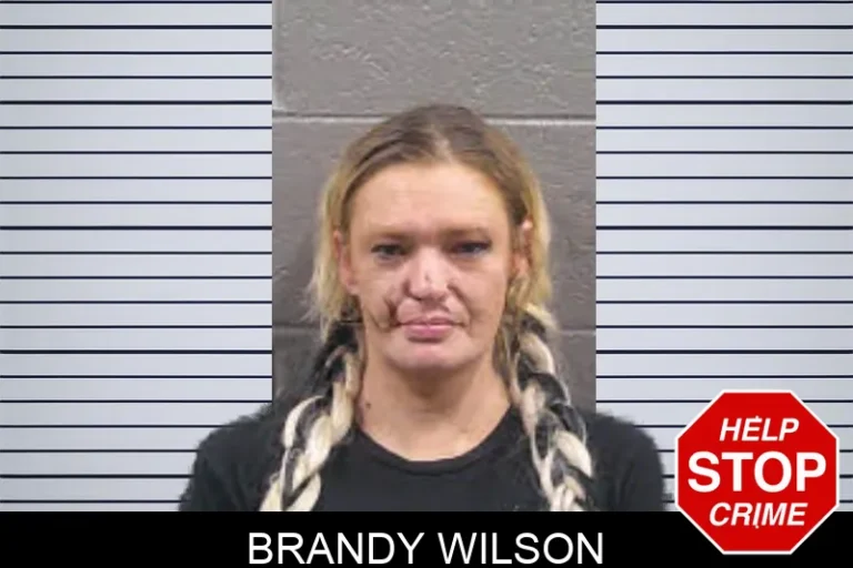Brandy Wilson