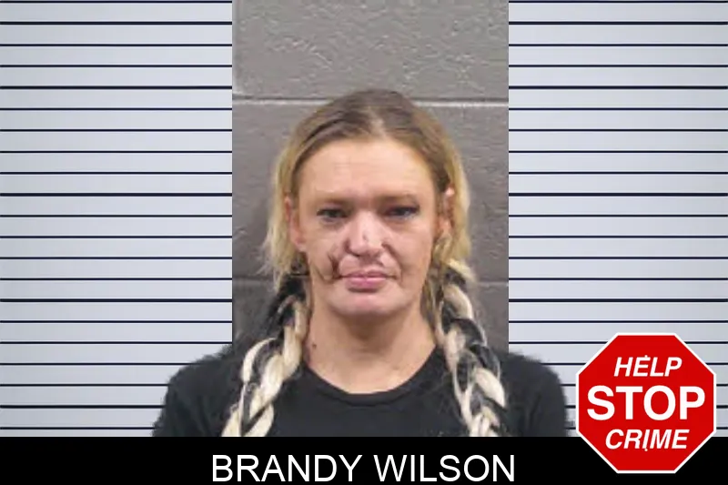 Brandy Wilson Mugshots