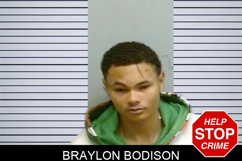 Braylon Bodison mugshot – Fulton County , Georgia Braylon Bodison mugshot