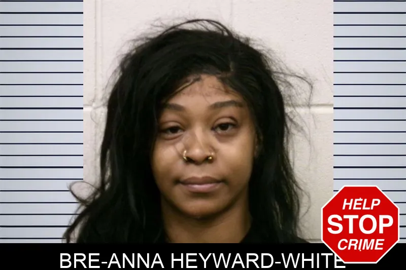 Bre-Anna Heyward-White Mugshots
