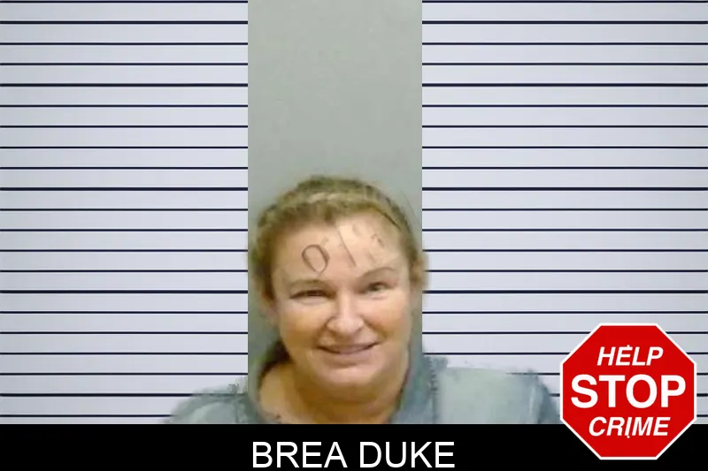 Brea Duke Mugshots