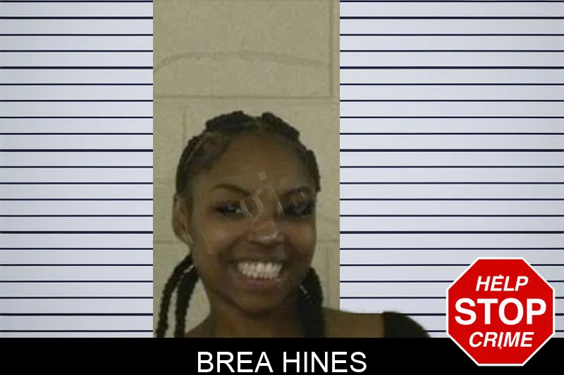 Brea Hines Mugshots