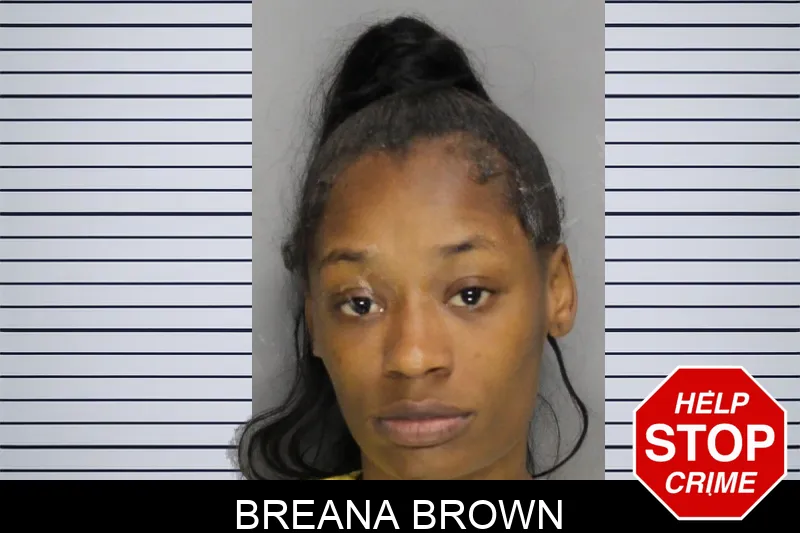 Breana Brown Mugshots