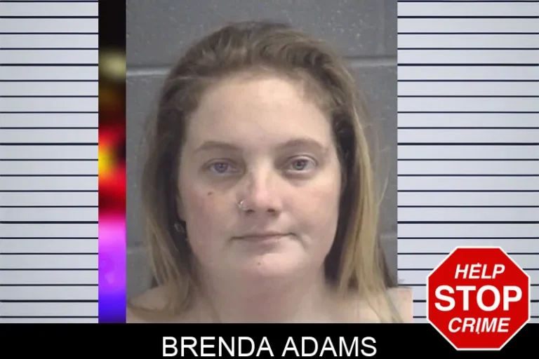 Brenda Adams