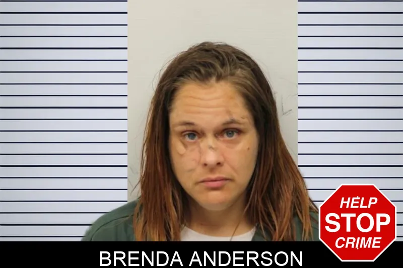 Brenda Anderson Mugshots