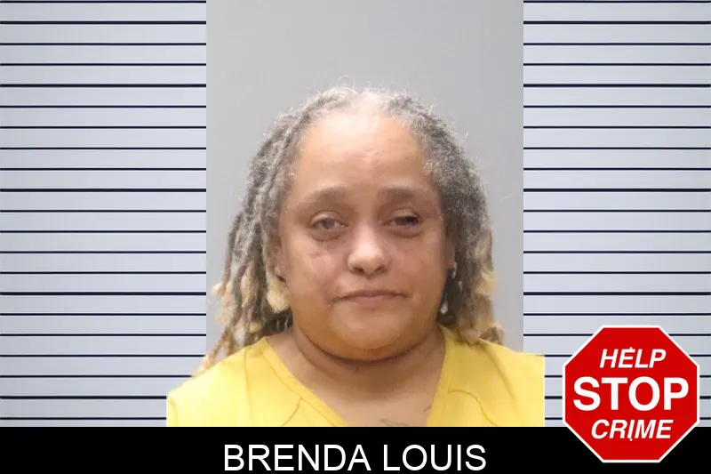 Brenda Louis Mugshots