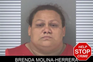 Brenda Molina-Herrera mugshot