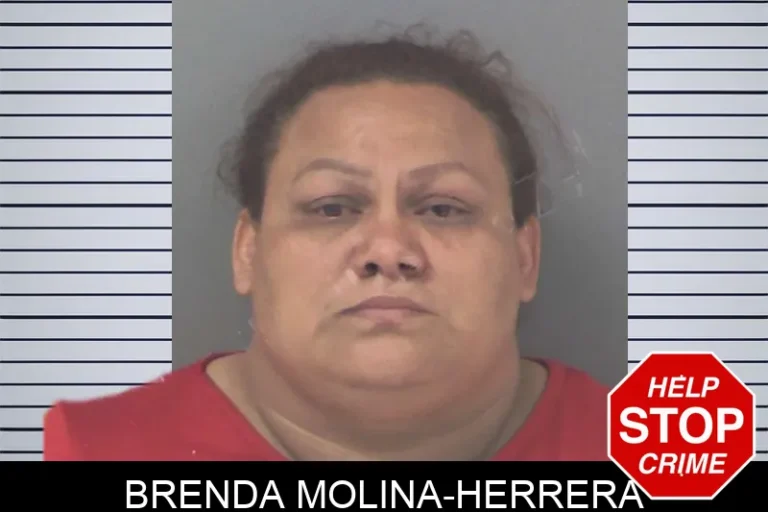 Brenda Molina-Herrera