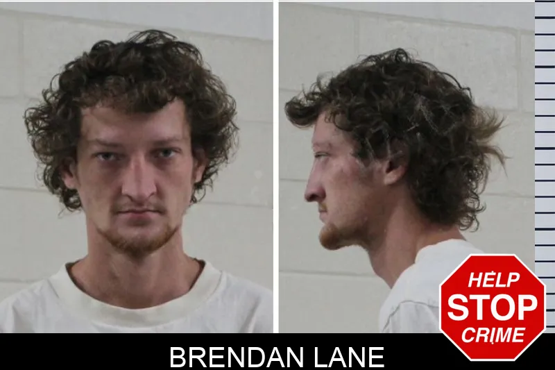 Brendan Lane Mugshots