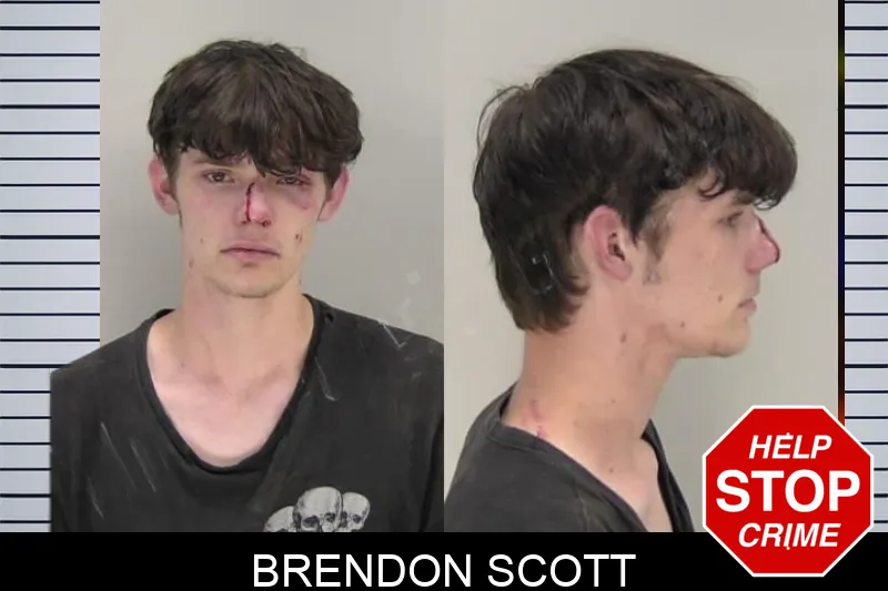 Brendon Scott mugshot