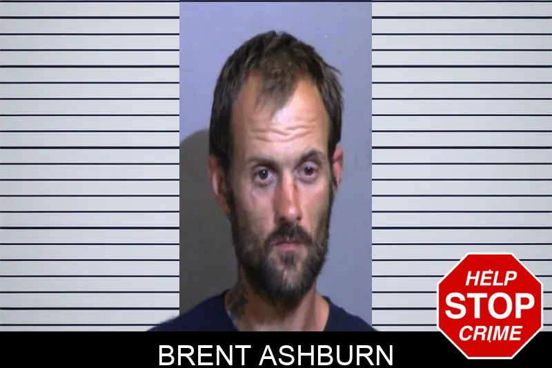 Brent Ashburn Mugshots