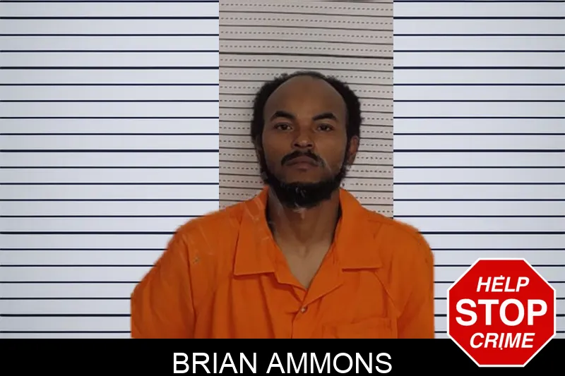 Brian Ammons Mugshots