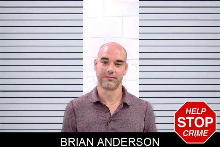 Brian Anderson mugshot – Fulton County , Georgia Brian Anderson