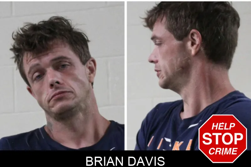 Brian Davis Mugshots