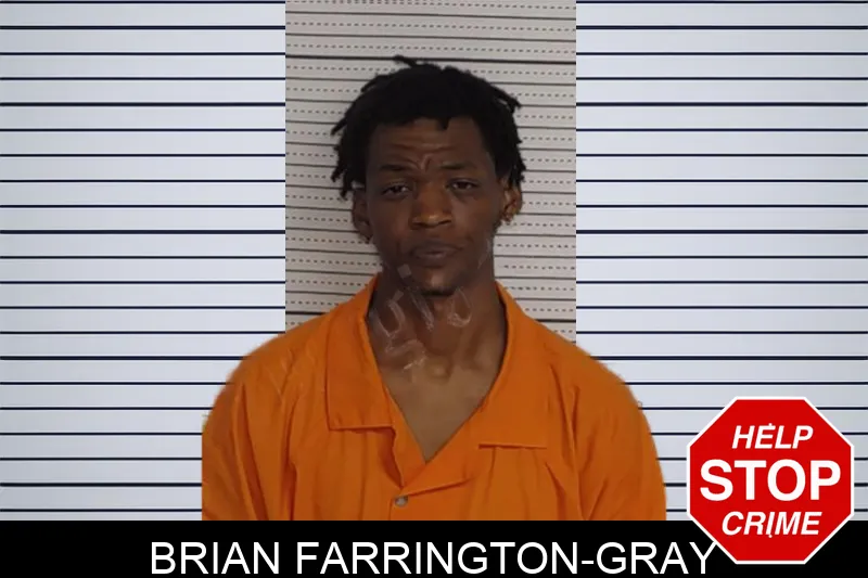Brian Farrington-Gray Mugshots