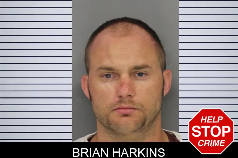 Brian Harkins Mugshots