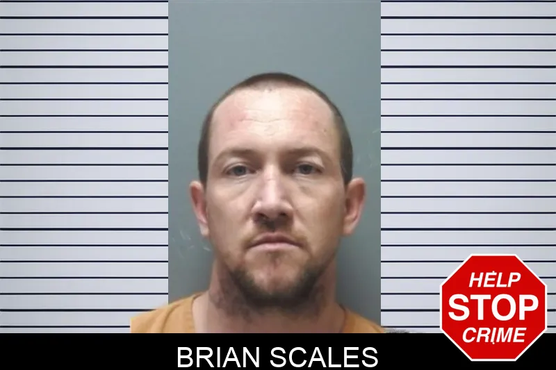 Brian Scales Mugshots