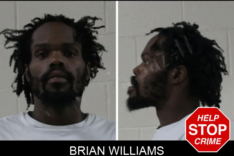 Brian Williams Mugshots