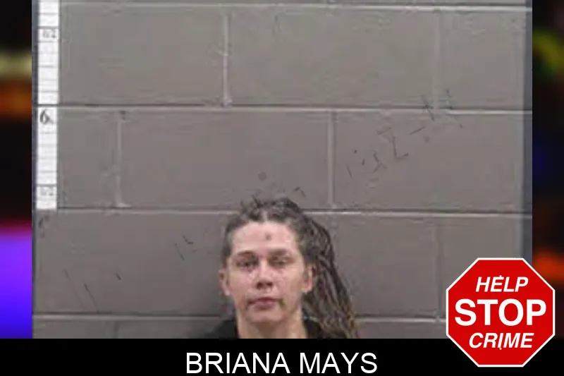 Briana Mays Mugshots