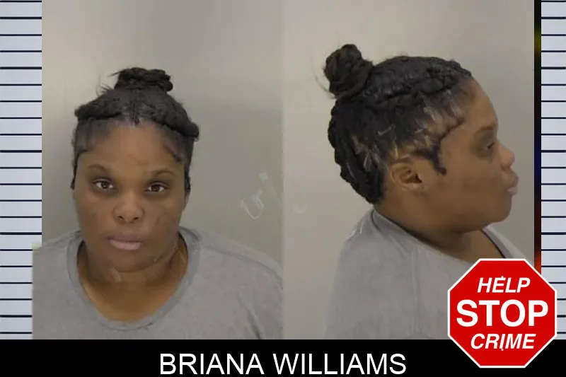 Briana Williams Mugshots