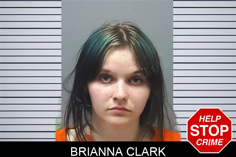 Brianna Clark mugshot