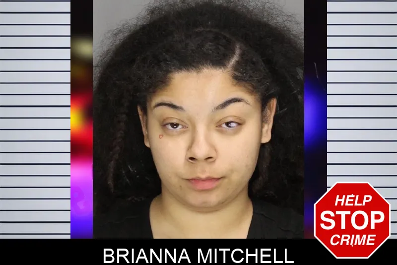 Brianna Mitchell mugshot – Cobb County , Georgia Brianna Mitchell mugshot