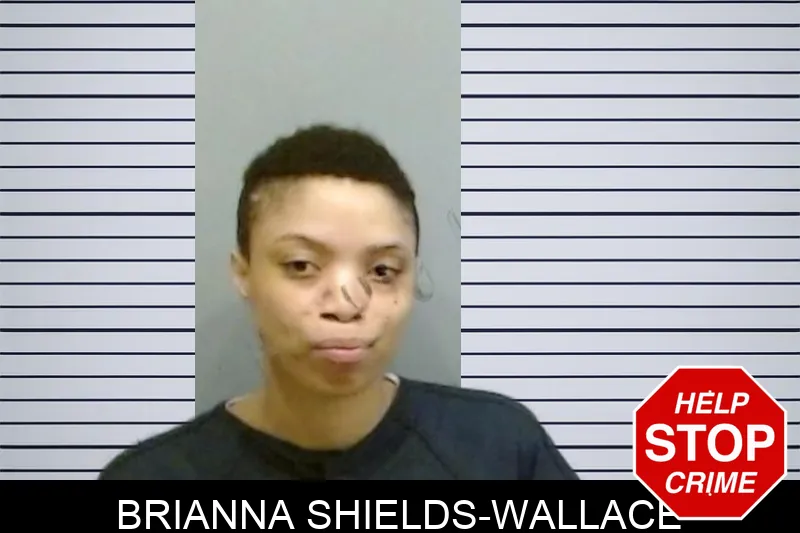 Brianna Shields-Wallace mugshot