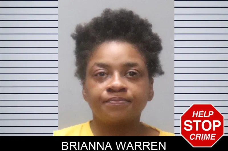 Brianna Warren Mugshots