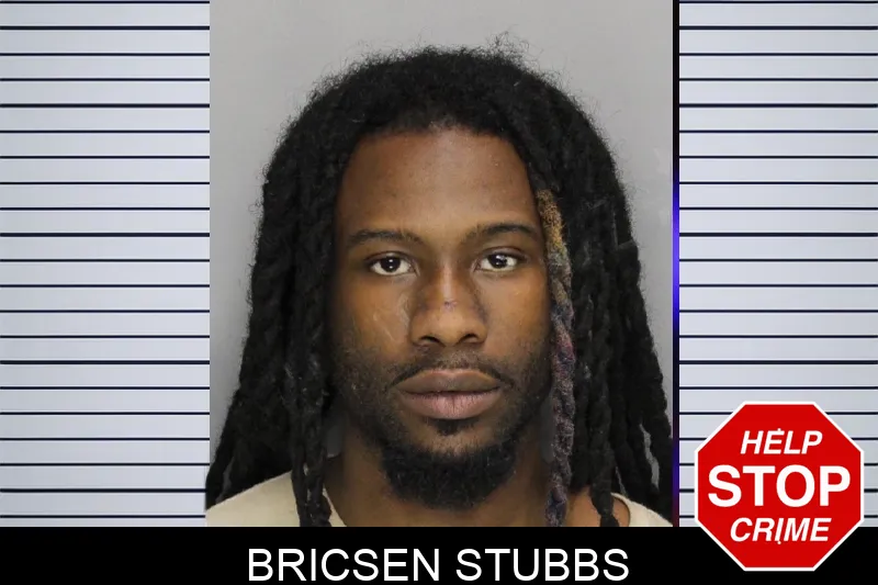 Bricsen Stubbs mugshot