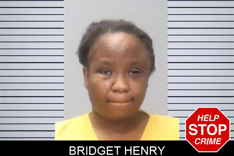 Bridget Henry Mugshots