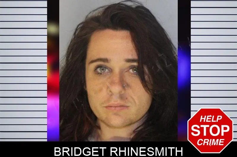 Bridget Rhinesmith Mugshots
