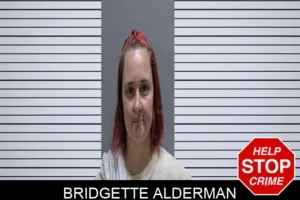 Bridgette Alderman mugshot
