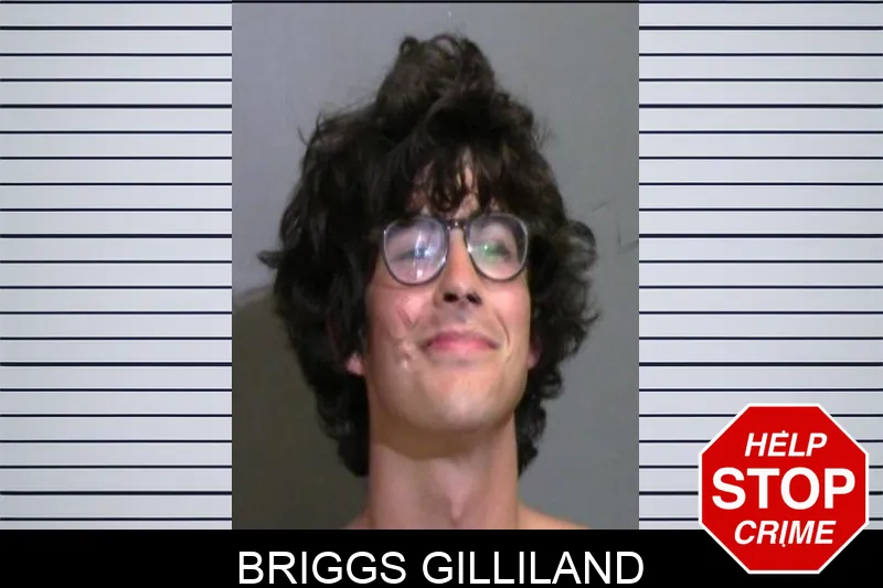 Briggs Gilliland Mugshots