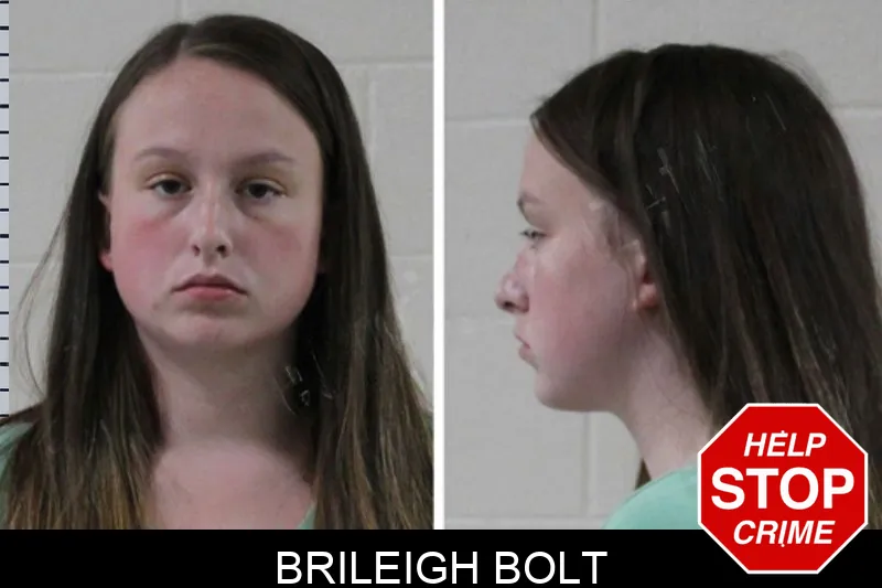 Brileigh Bolt mugshot