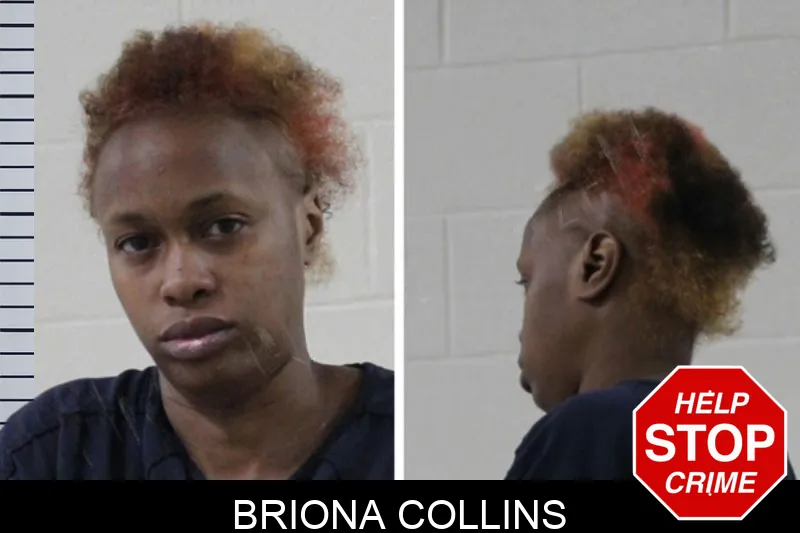 Briona Collins mugshot