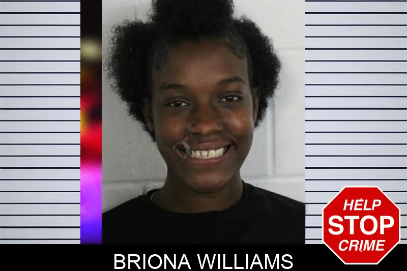 Briona Williams Mugshots