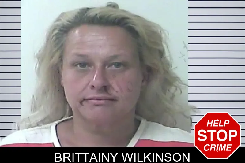 Brittainy Wilkinson Mugshots
