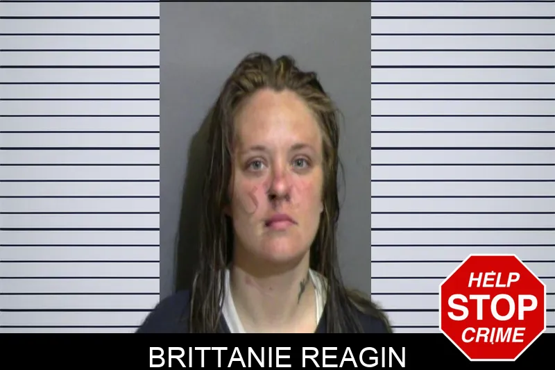 Brittanie Reagin Mugshots