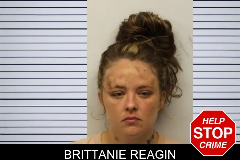Brittanie Reagin Mugshots