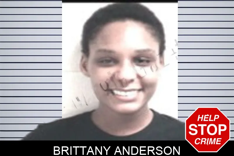 Brittany Anderson Mugshots