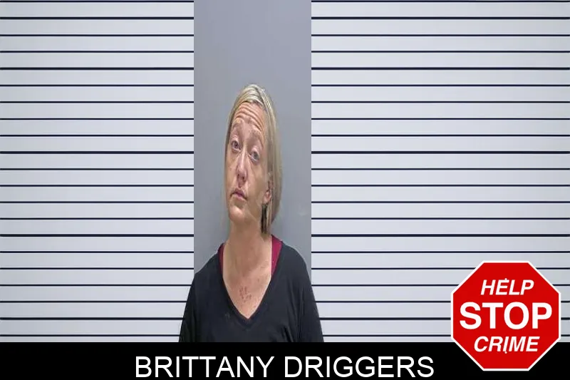 Brittany Driggers Mugshots