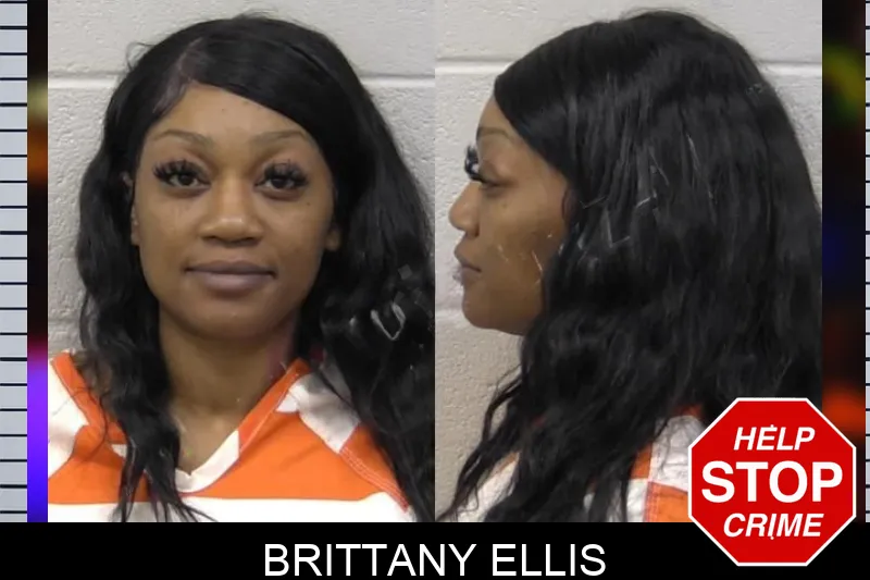Brittany Ellis Mugshots