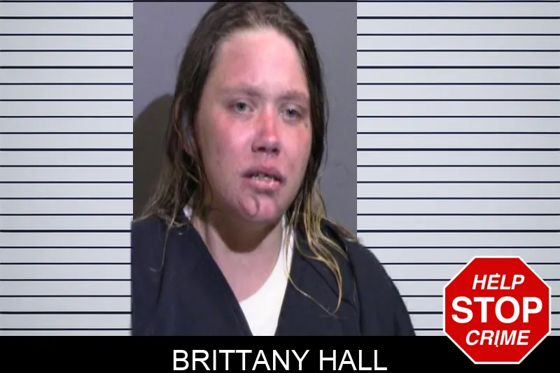Brittany Hall Mugshots