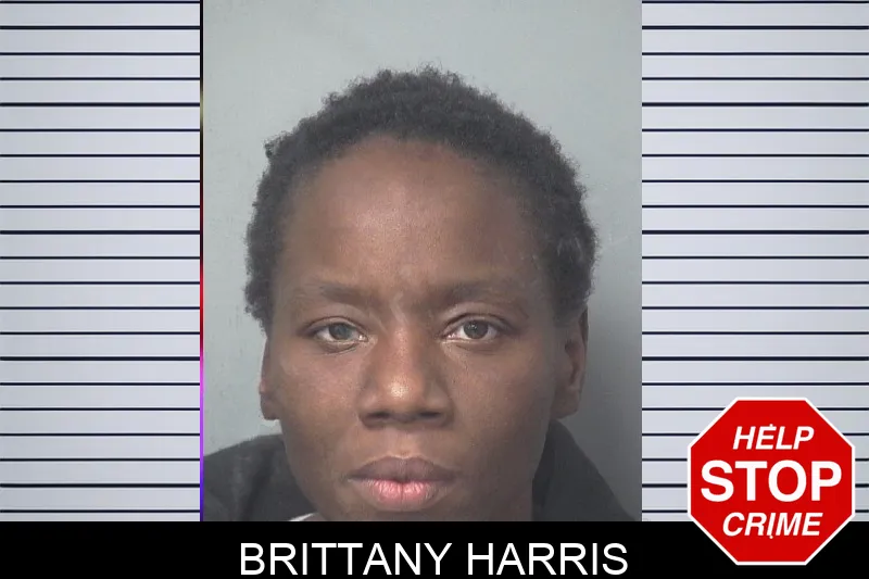 Brittany Harris mugshot – Gwinnett County , Georgia Brittany Harris mugshot