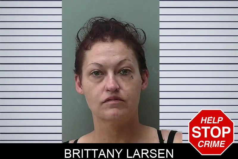 Brittany Larsen Mugshots