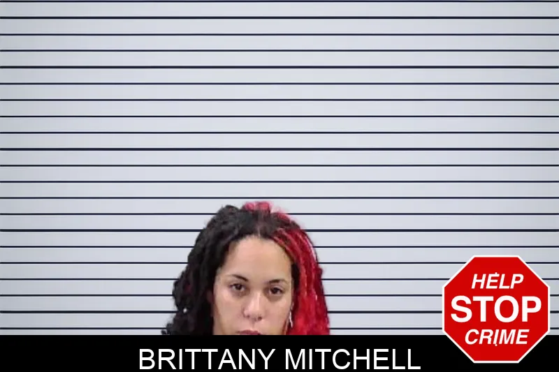 Brittany Mitchell Mugshots