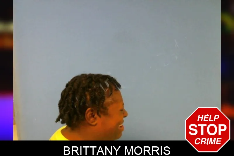 Brittany Morris Mugshots